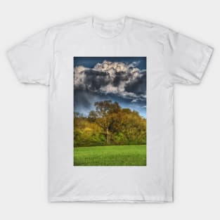 A Ladder to the Clouds T-Shirt